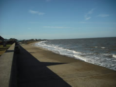 View Outside the House